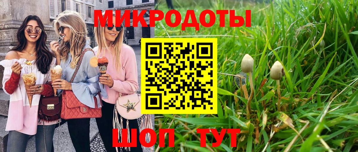 Галлюциногенные грибы MAGIC MUSHROOMS Гай