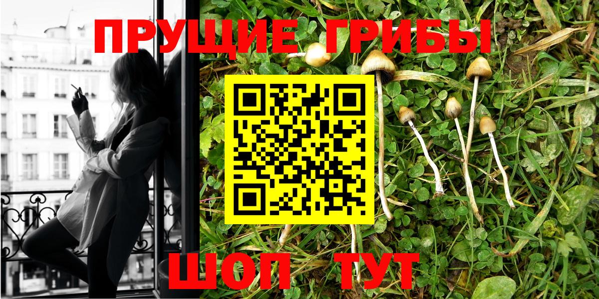 Псилоцибиновые грибы Psilocybine cubensis  Псилоцибиновые грибы Psilocybine cubensis  Гай  Вход с VPN 
